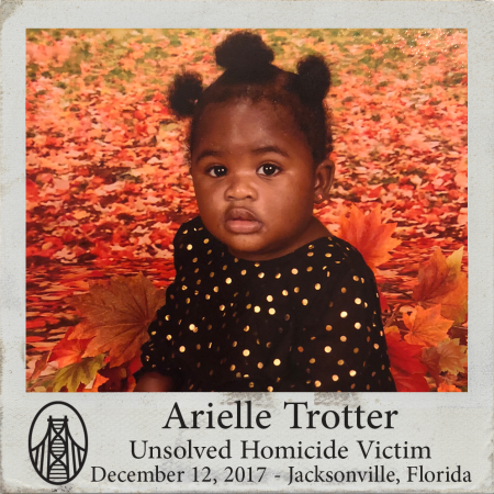 unsolved cold case arielle trotter