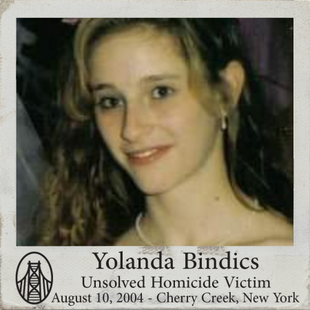 yolanda bindics unsolved murder cold case new york